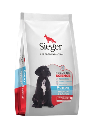 Sieger cachorro mediano / grande
