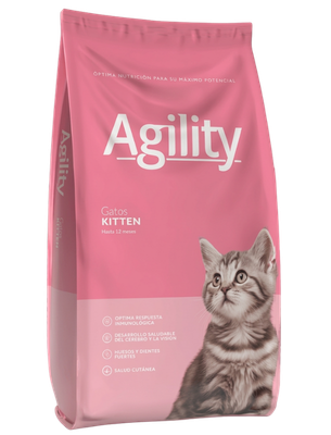 Agility Cats Kitten